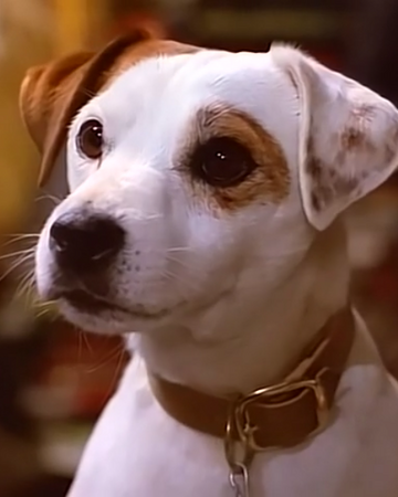 Wallpaper Wishbone Character Wishbone Wiki Fandom For iPhone