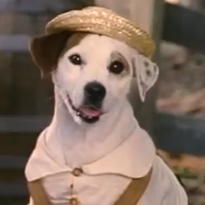 Get Wallpaper Wishbone Character Wishbone Wiki Fandom For Android Free