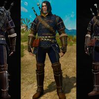 Grandmaster Feline Armor Witcher Wiki Fandom