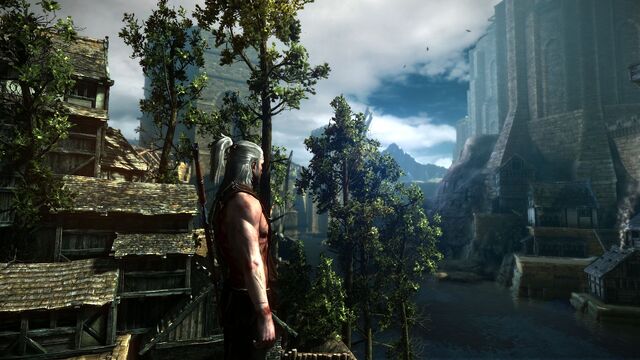 File:Witcher-2--04.jpg
