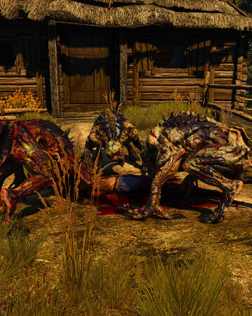Contract The Beast Of Honorton Witcher Wiki Fandom