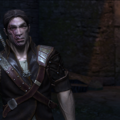 Eskel Witcher Wiki Fandom Powered By Wikia