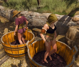 Tw3 wine producing