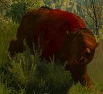 Winnie-the-pooh-witcher3