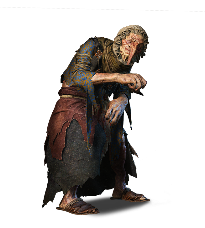 Wicked Witch | Witcher Wiki | FANDOM powered by Wikia