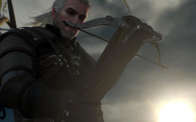 File:Tw3-screen-crossbow first time.jpg