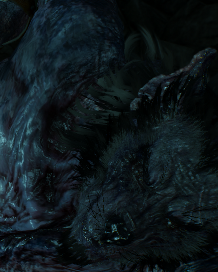 In Wolf S Clothing Witcher Wiki Fandom
