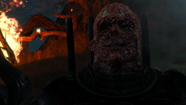 File:Imlerith face flesh melted.jpg
