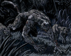 Racja stanu werecat