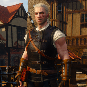 Cat School Gear Witcher Wiki Fandom