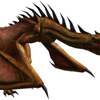 Wyvern Witcher Wiki Fandom Powered By Wikia