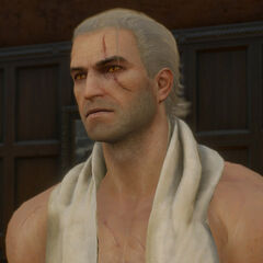 Beard and Hairstyle Set | Witcher Wiki | FANDOM powered by ...