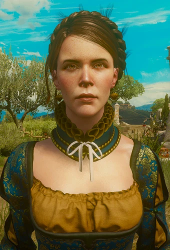 Witcher 3 Monsieur De Bourbeau