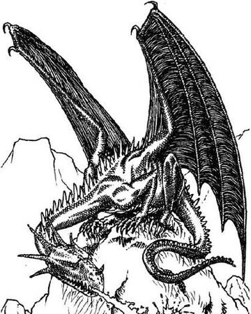Black Dragon Witcher Wiki Fandom
