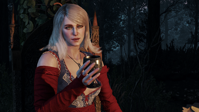 File:Tw3 brothers of velen.png