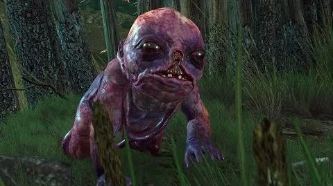 Botchling | Witcher Wiki | FANDOM powered by Wikia