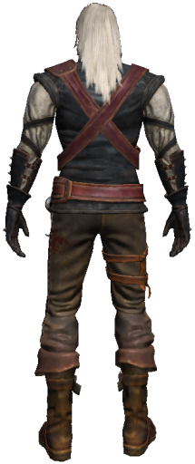 Geralt 3 back