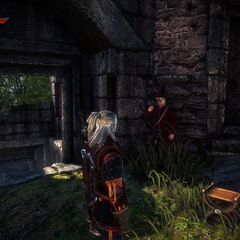 Mysterious merchant | Witcher Wiki | Fandom