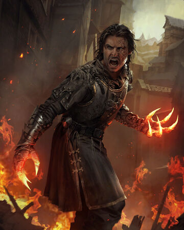 Rience Witcher Wiki Fandom
