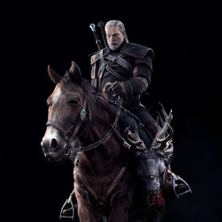 Roach Witcher Wiki Fandom Powered By Wikia