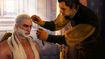 Beard And Hairstyle Set Witcher Wiki Fandom