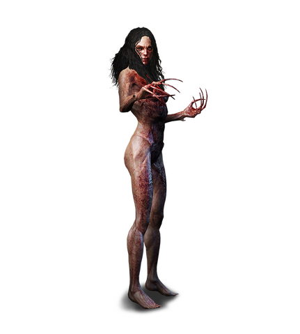 File:Tw3 journal bruxa mh.png