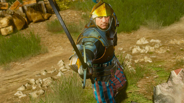 File:Tw3 Guillaume with armor.jpg