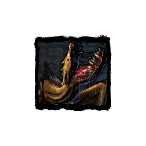Wyvern Witcher Wiki Fandom Powered By Wikia