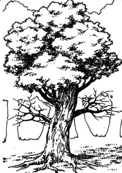Gra Wyobrazni tree monster