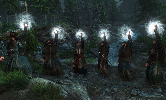 File:Tw3 Skellige druids.jpg