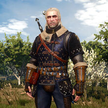 Cat School Gear Witcher Wiki Fandom