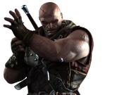 Get Wallpaper Category Witchers Witcher Wiki Fandom Free HD