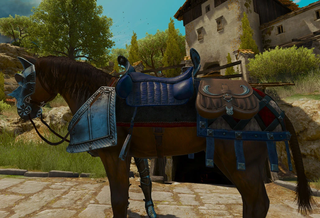 Sir Geralt of Rivia's saddle Witcher Wiki FANDOM powered by Wikia