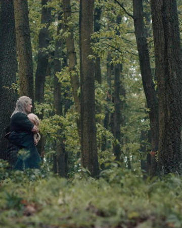 Images Witcher Wiki Fandom In 2020 The Witcher Medieval Fantasy Witcher Art
