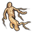 Substances Mandrake root