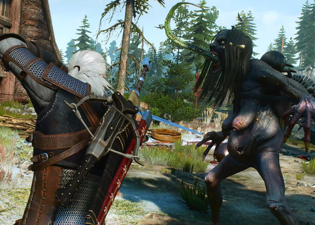File:Tw3 fighting grave hag.png