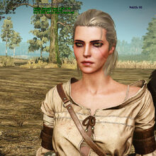 Ciri Witcher Wiki Fandom