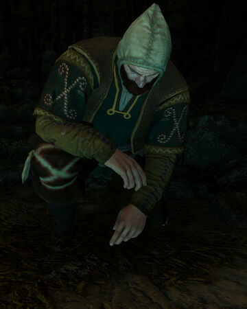 A Bard S Beloved Witcher Wiki Fandom