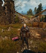 Family Matters | Witcher Wiki | Fandom