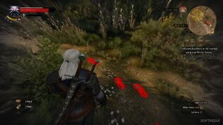 The-Witcher-3-Diary-Witcher-Contracts-Are-Quite-Fun-482236-2