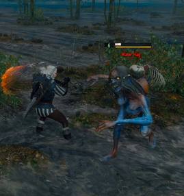Tw3 fighting Water hag