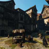 The Bits Witcher Wiki Fandom