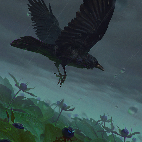 Crow's eye | Witcher Wiki | Fandom