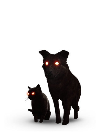The Black Cat And Dog Witcher Wiki Fandom
