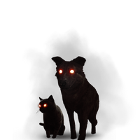The Black Cat And Dog Witcher Wiki Fandom