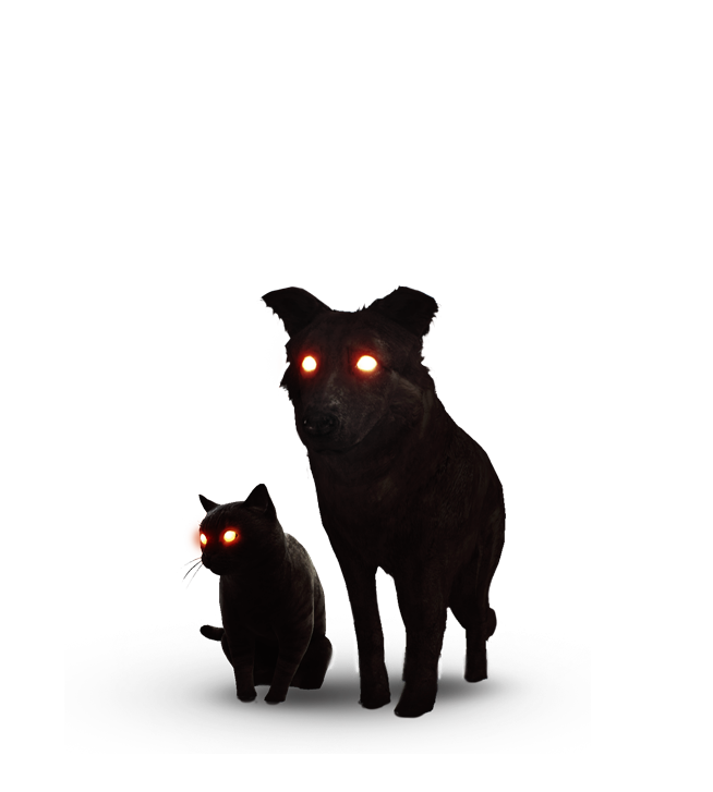The Black Cat and Dog | Witcher Wiki | FANDOM powered by Wikia