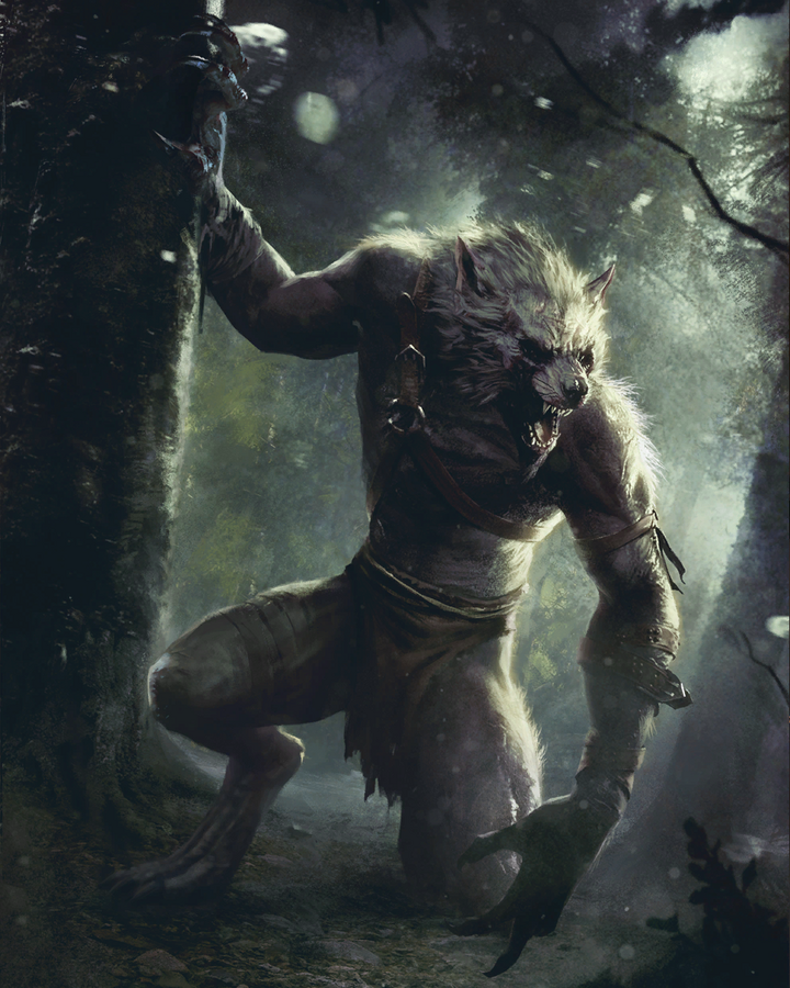 Werewolf Witcher Wiki Fandom