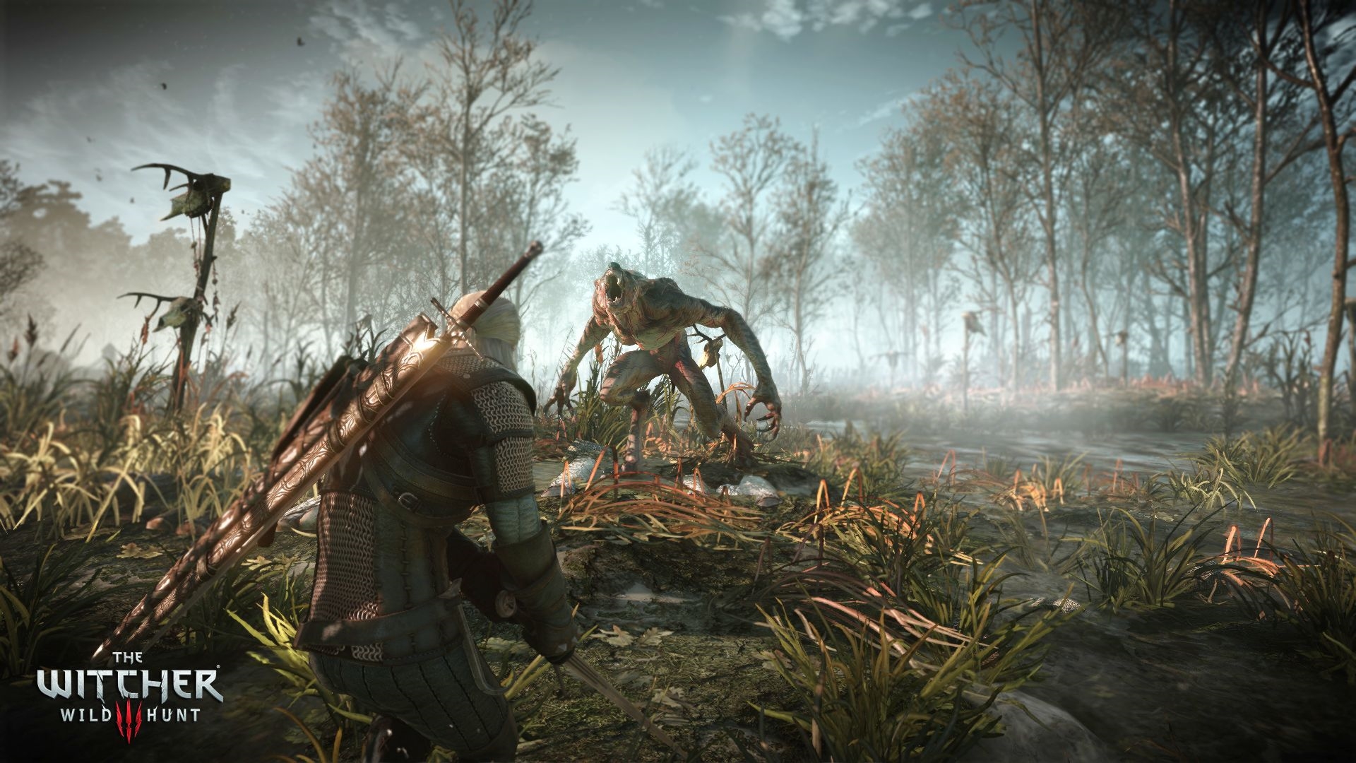 Image Crookback Bog In Velen From The Witcher 3 Wild Huntjpg