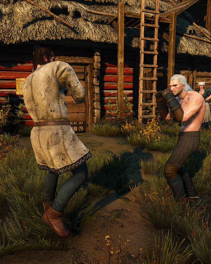 Fists Of Fury Velen Witcher Wiki Fandom