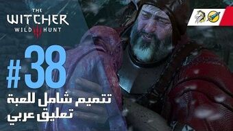 Video The Witcher 3 Wild Hunt Pc Ar Wt 38 مهمة